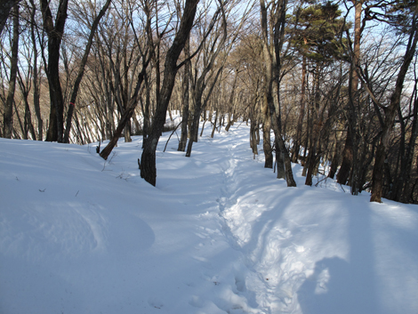 20180209hike (200)